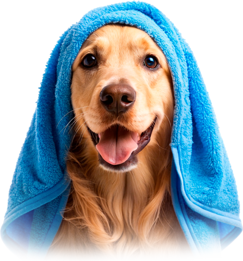 melhor petshop de montes claros (moc)